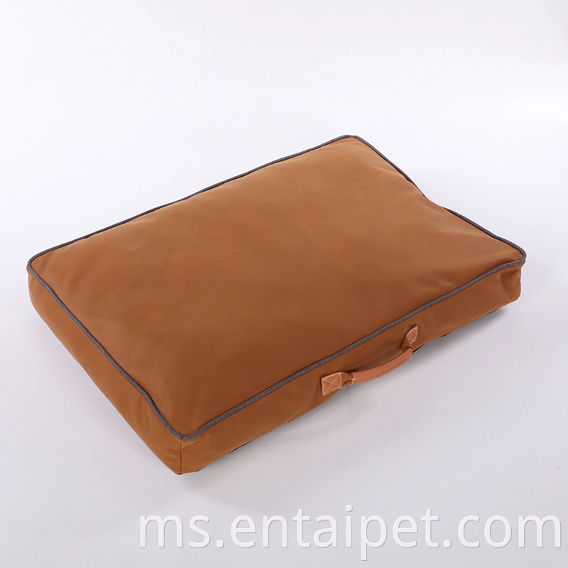 Teknologi Bahan Anjing Produk Jualan Panas Trendy Lembut